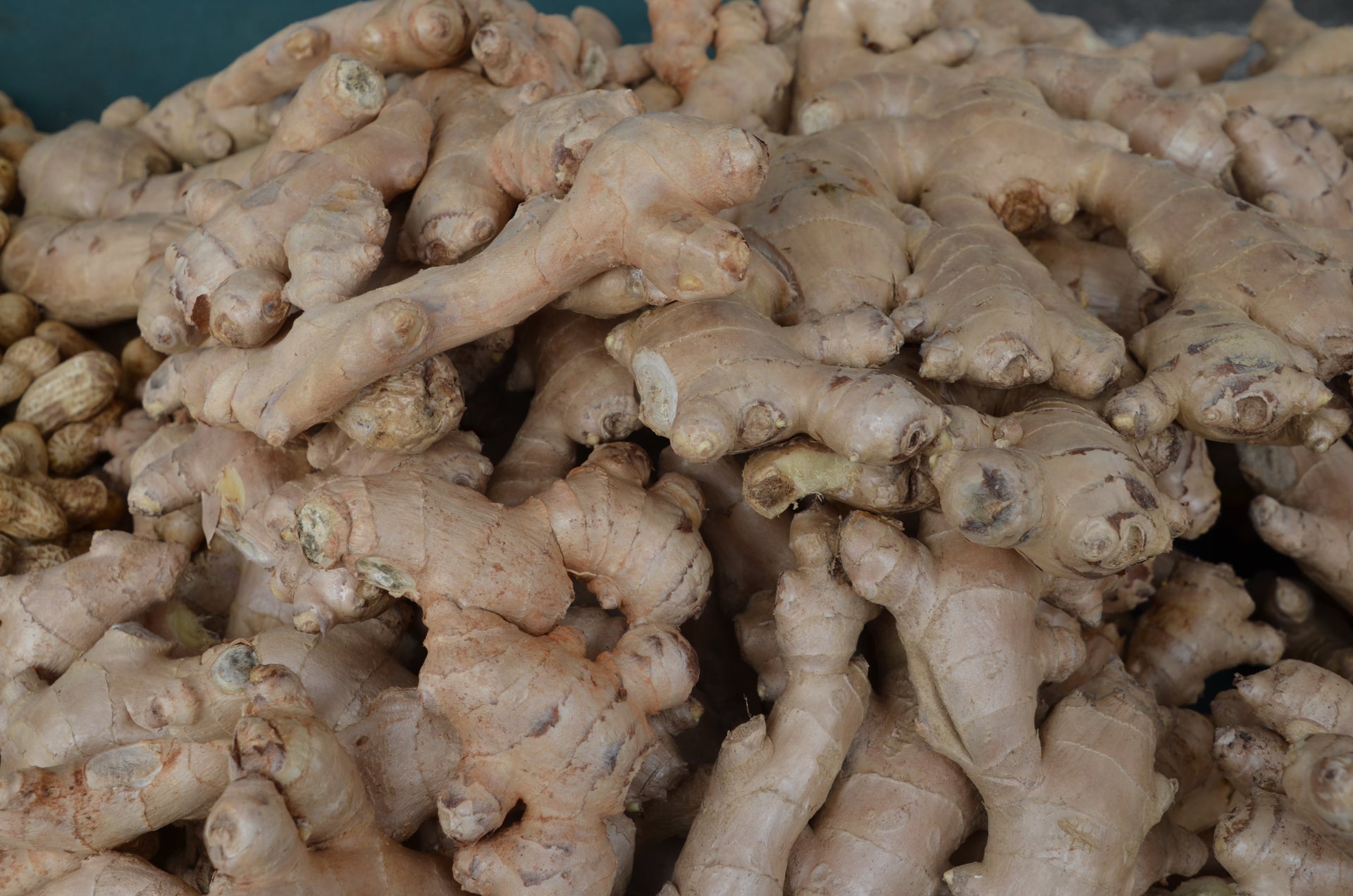 Ginger Capsules