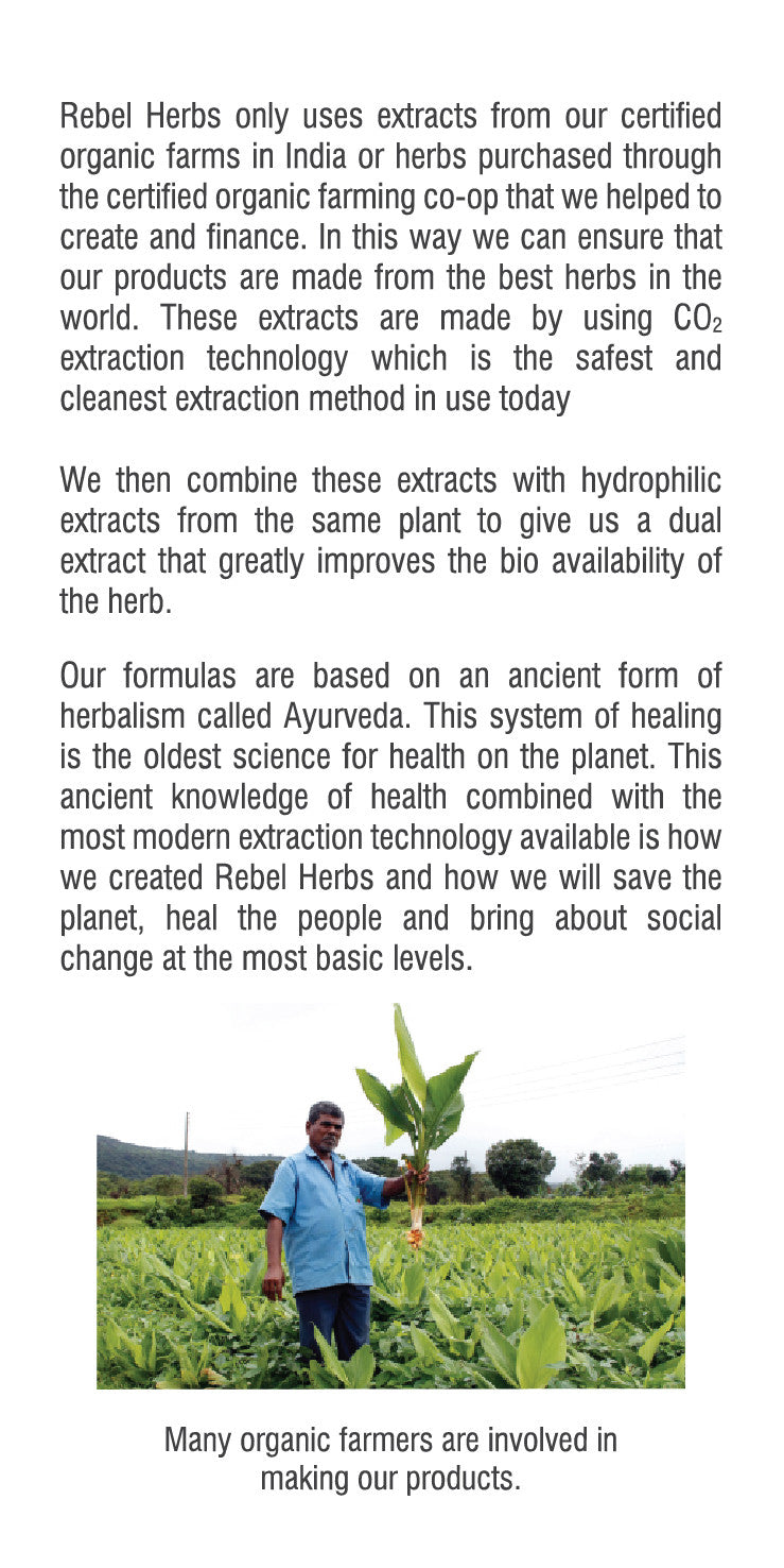 Rebel Herbs Organic Imunade Vegetarian Capsules - 60 Count-4